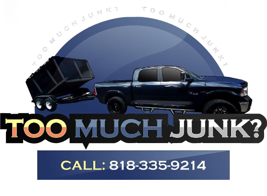 Too Much Junk